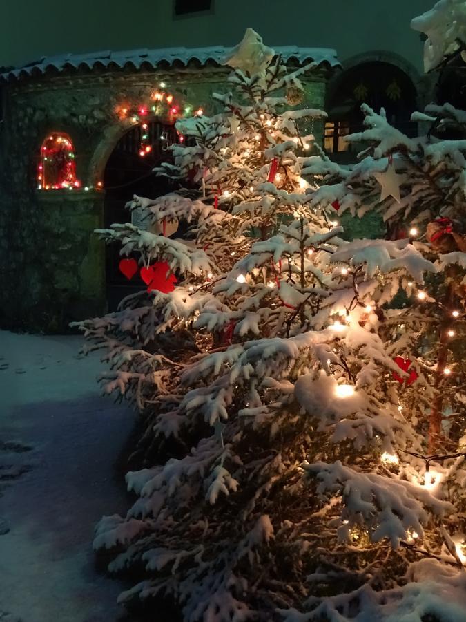 Profum Di Bosc Bed and Breakfast Arta Terme Buitenkant foto